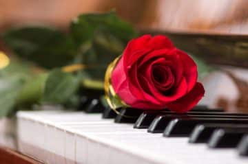 single red rose on piano keys
