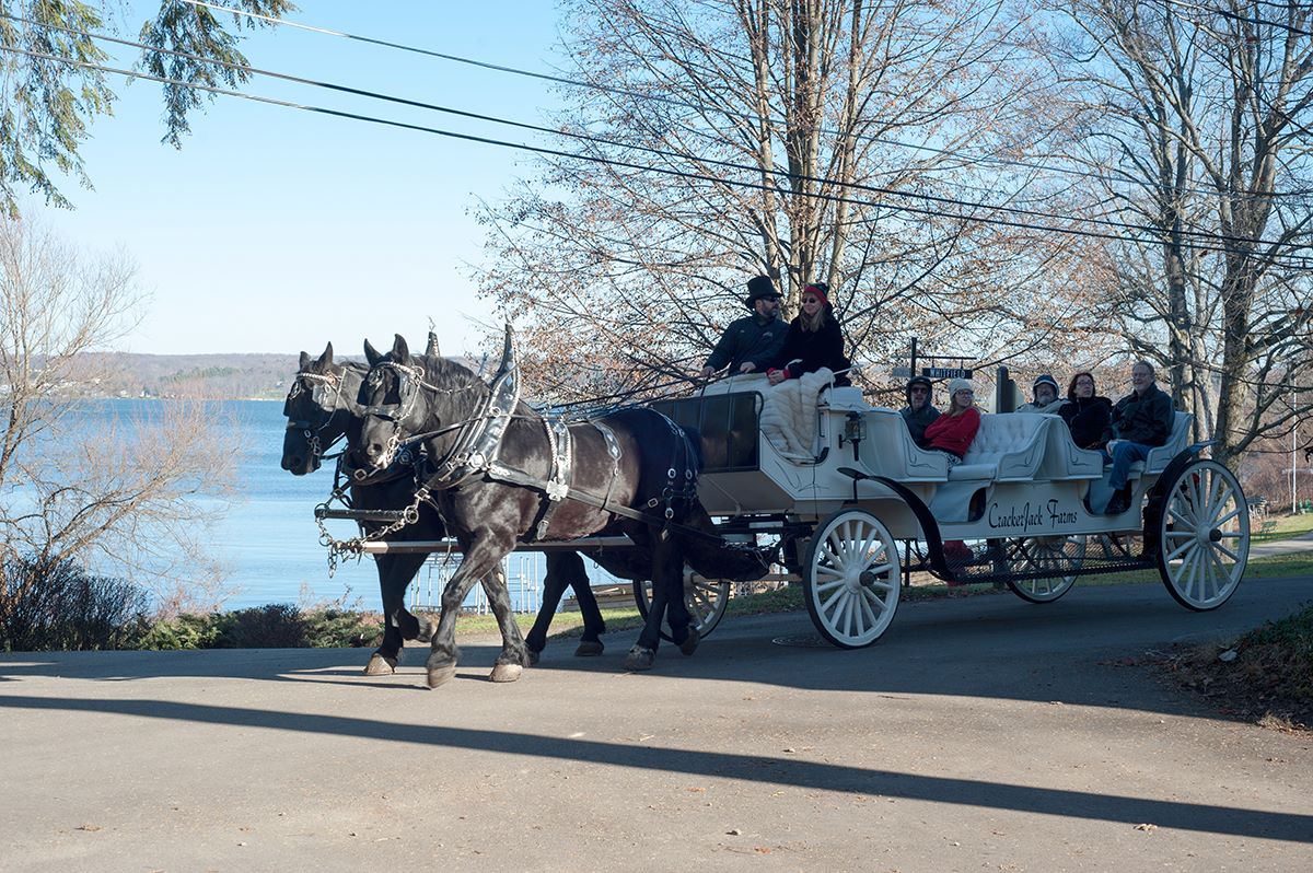 winter carriage ride along lake