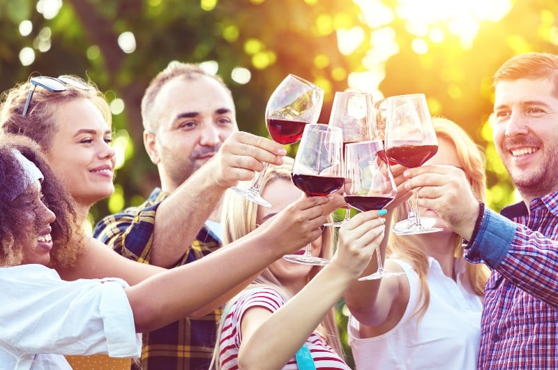 group of people wine tasting at vineyard